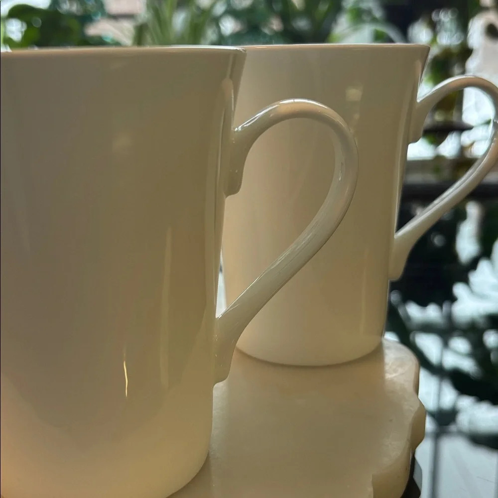 Mikasa DELRAY Bone China Mug Set - Picture 11 of 11